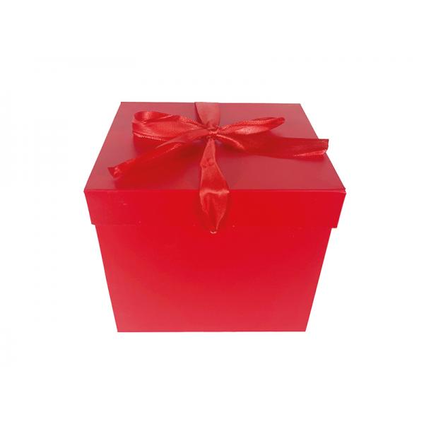 CONF.6SCAT.REG.C/NAS.15X15X15CM-ROSS*