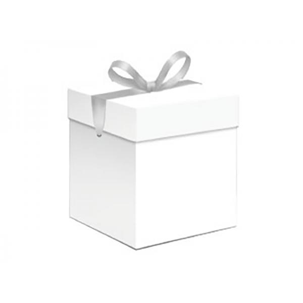 CONF.6SCAT.REG.C/NAS.22X22X22CM-BIAN*