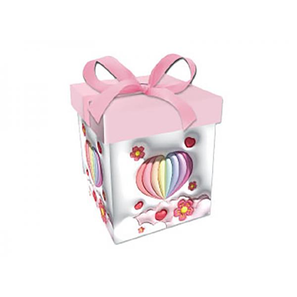 CONF.6SCAT.REG.C/NAS.15X15X15CM-MONG*