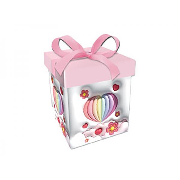 CONF.6SCAT.REG.C/NAS.22X22X22CM-MONG*