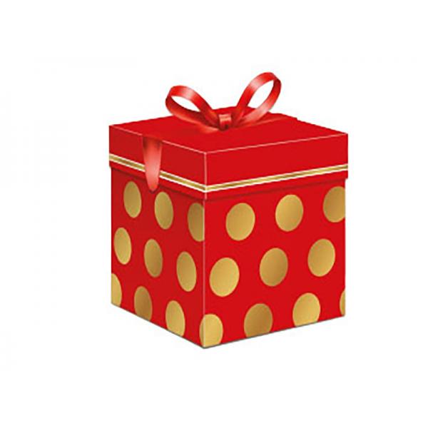 CONF.6SCAT.REG.C/NAS.22X22X22CM-POIS*